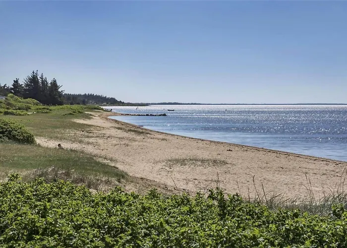 C11308-tarm-stikkelsbaervej-41 Dom wakacyjny Tarm